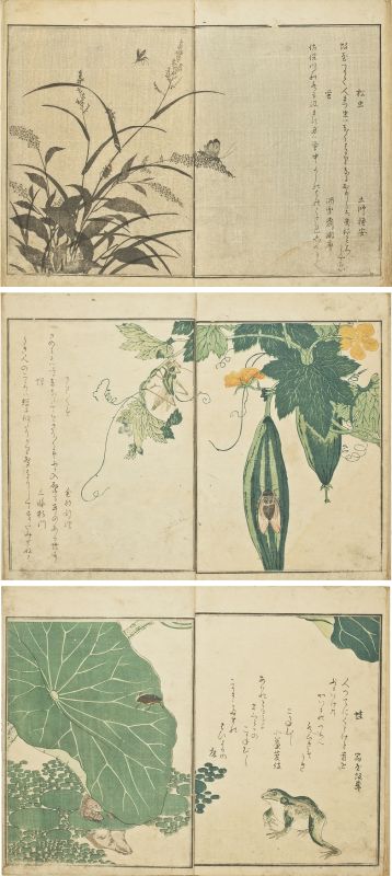 画本虫撰　二冊