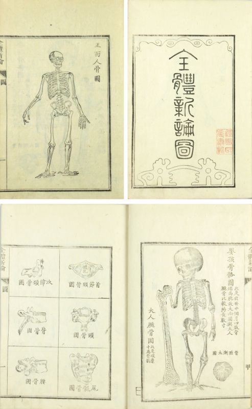全體新論