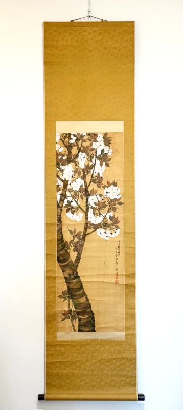 織田瑟瑟<br>
桜図<br>

